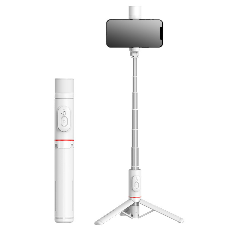 auction asset