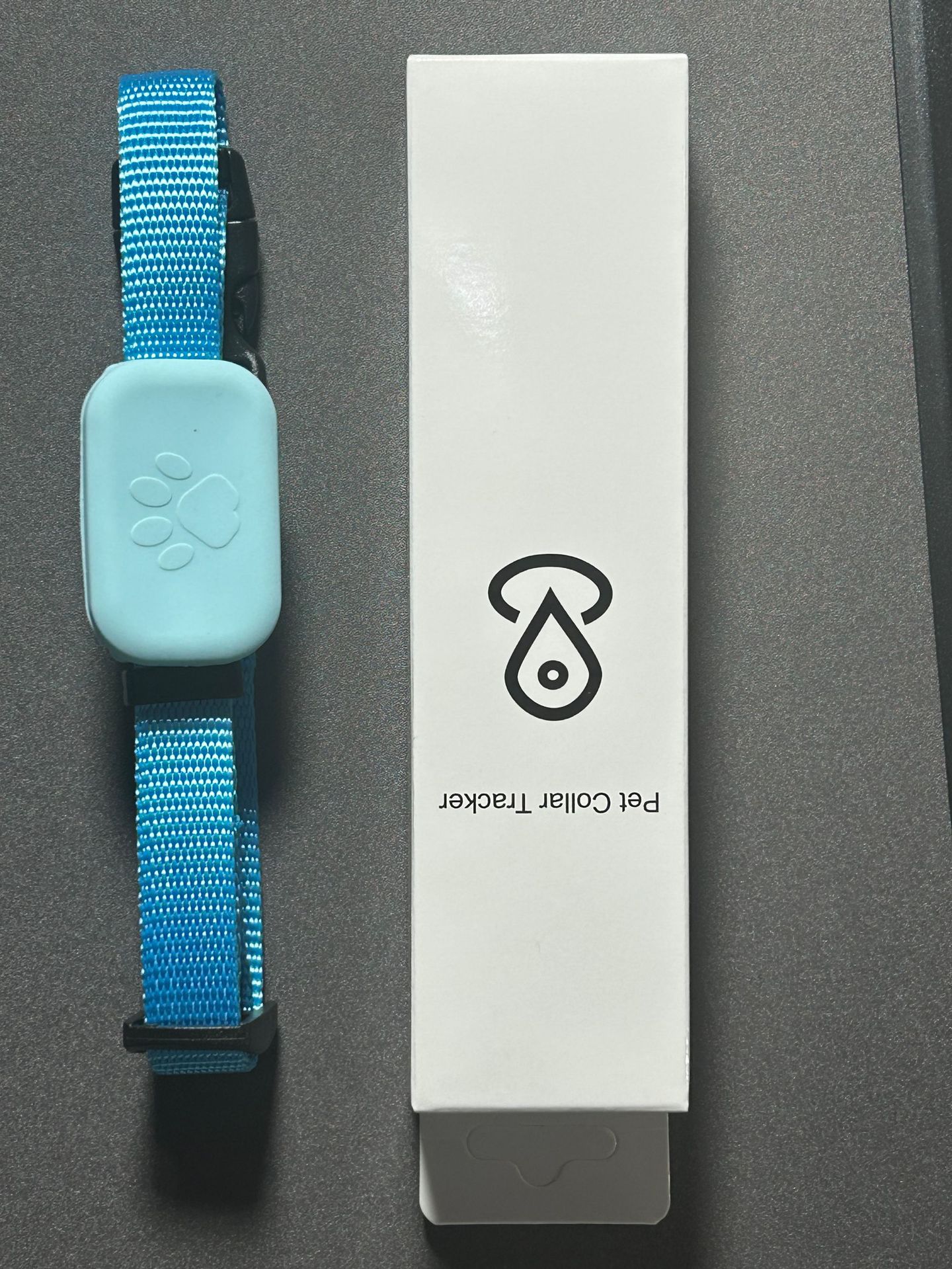 auction asset