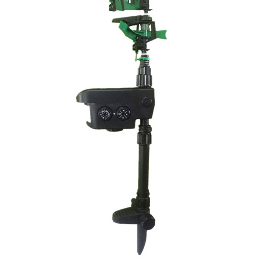 auction asset