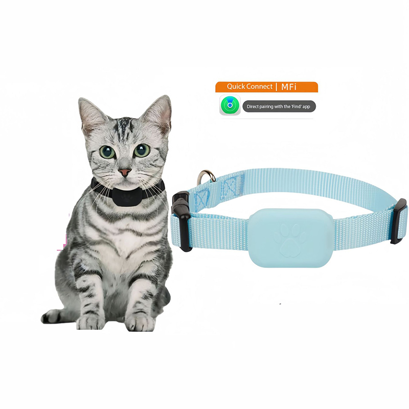 auction asset