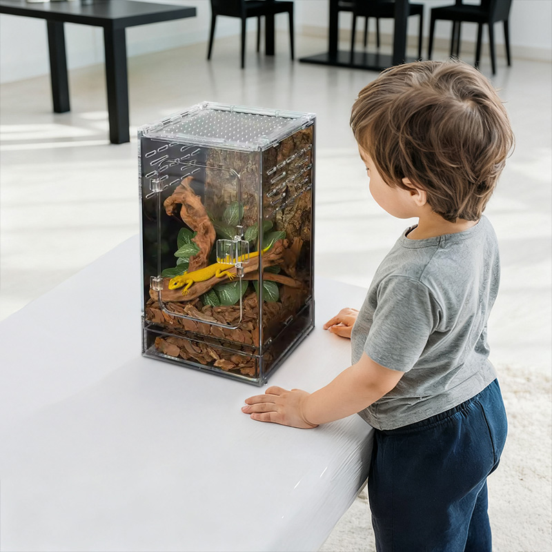 auction asset