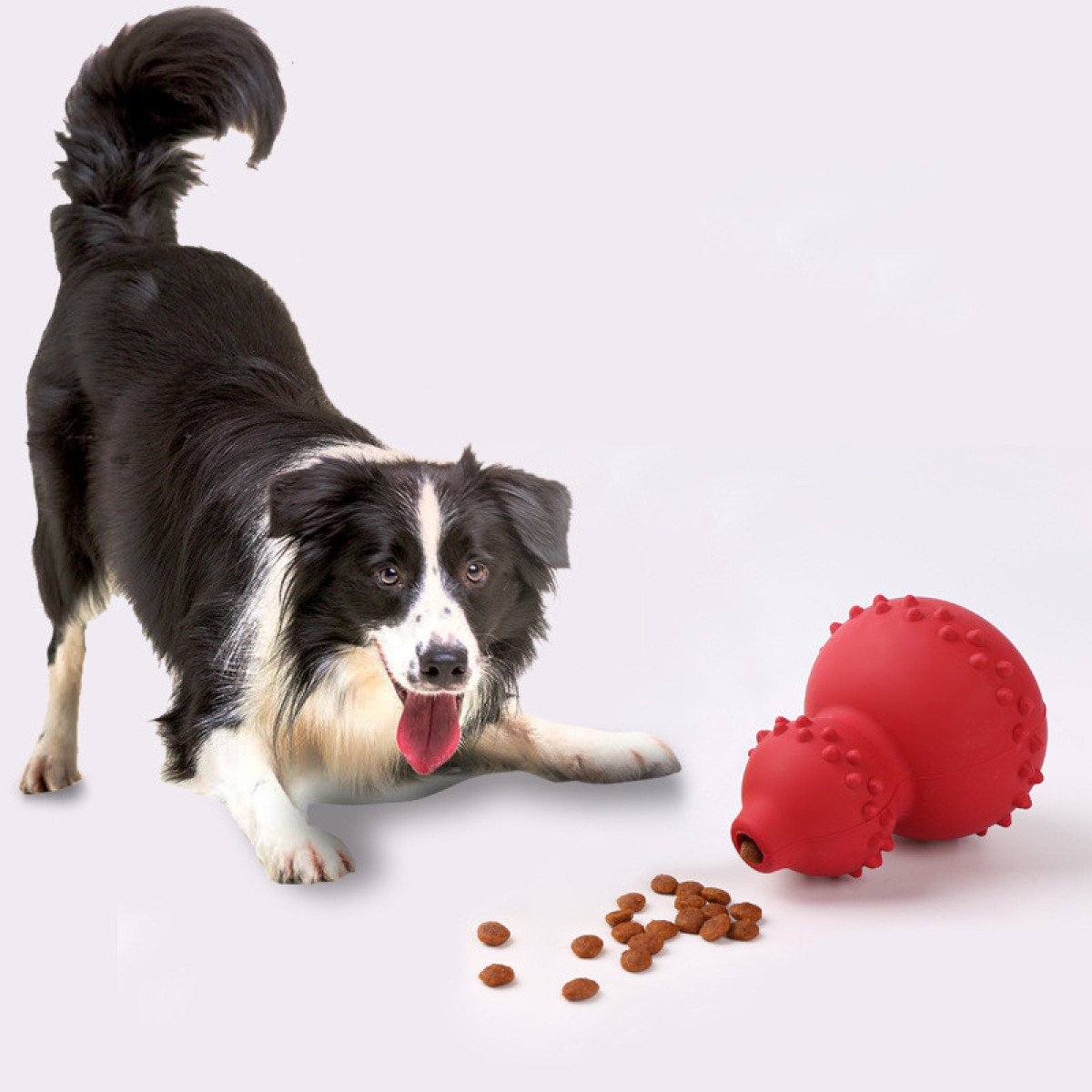 auction asset