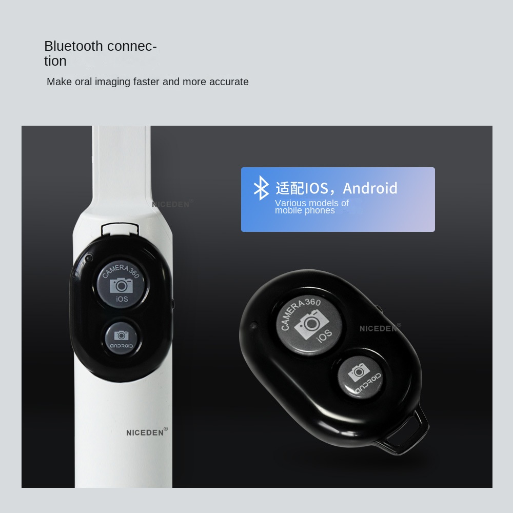 auction asset