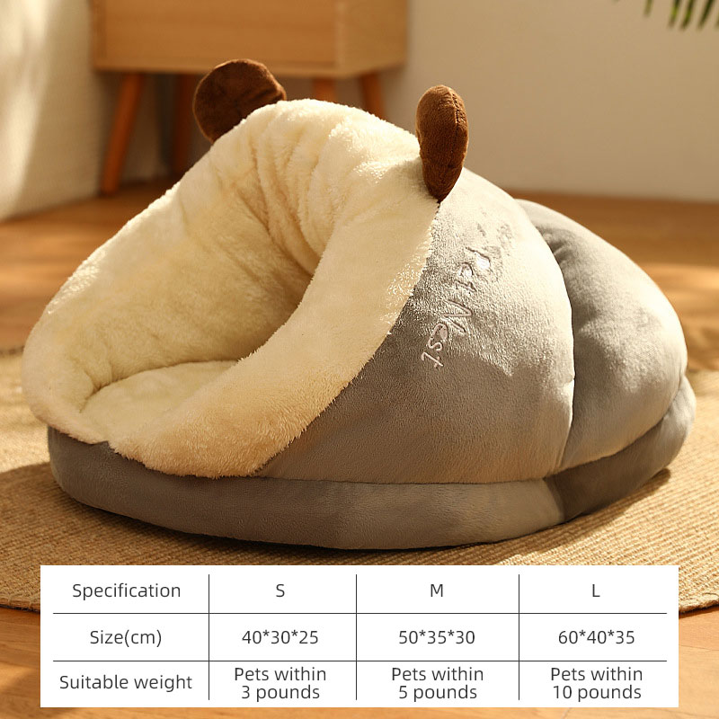 auction asset