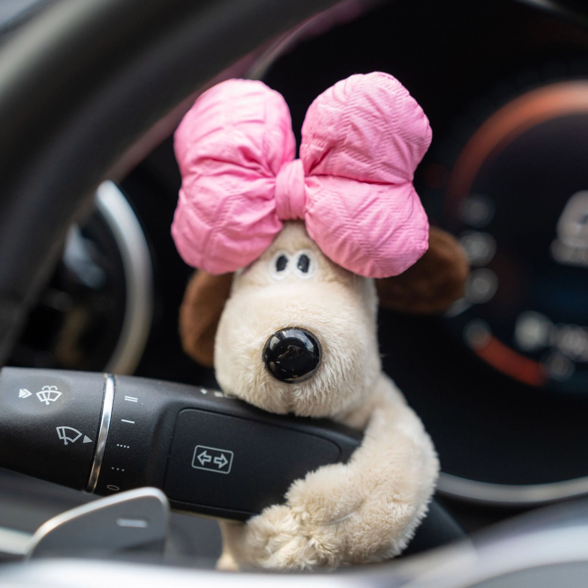 auction asset