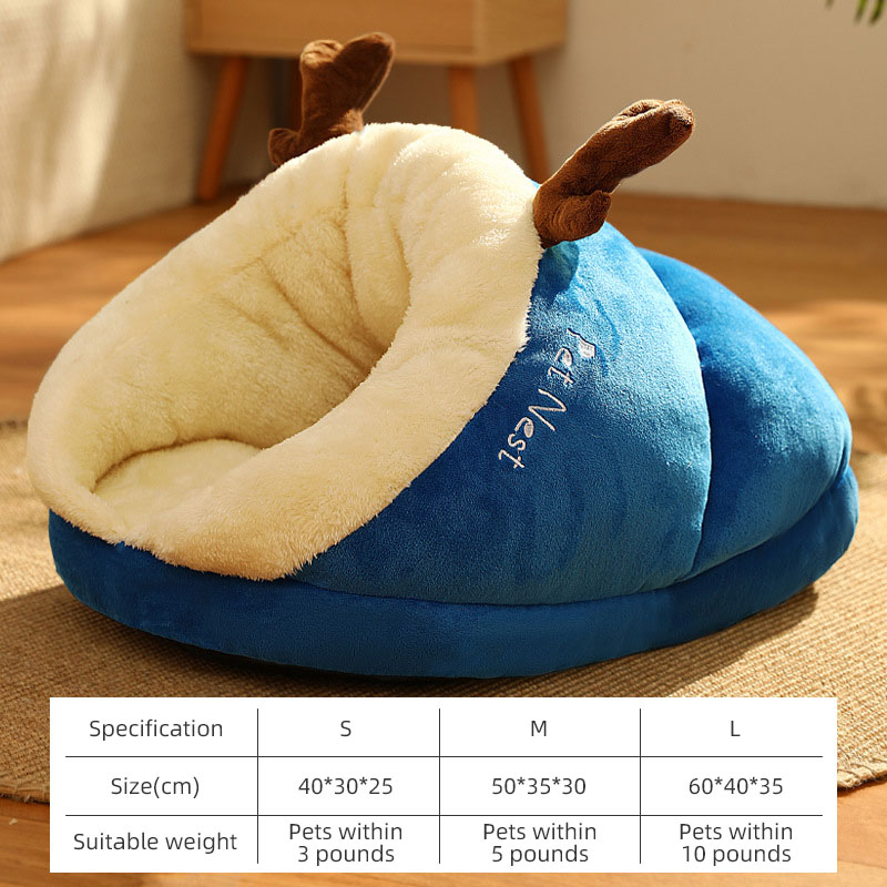 auction asset